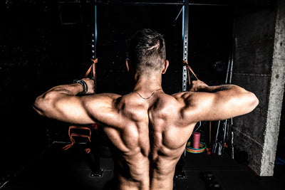 Rhomboid Exercises For Beastly Back Development