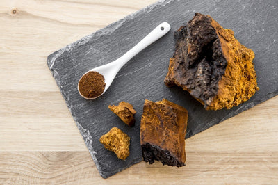 Chaga vs. Reishi: What is the Difference and Which is the Best to Eat?