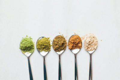 The Best Plant Protein Sources for an Active Lifestyle