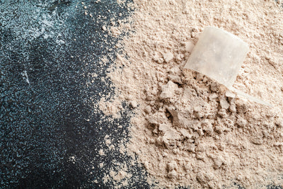 Why Whey Protein Is the Best Protein Powder for Muscle Gain