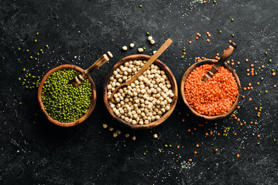 The Best Plant Based Protein Sources to Add to Your Diet