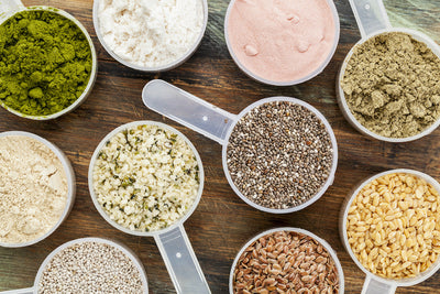 Whey Protein vs. Plant Protein: What's the Difference?