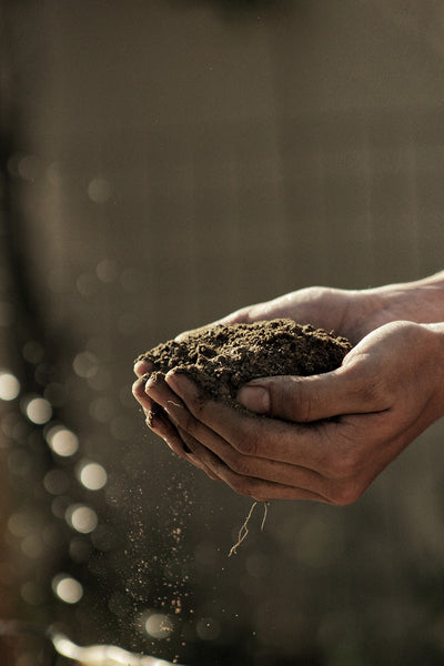Why You Should Add Soil-Based Organisms to Your Health Routine