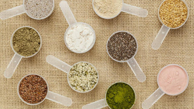 What to Look for When Choosing a Plant Based Protein Powder