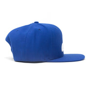 Dodger Blue Snapback